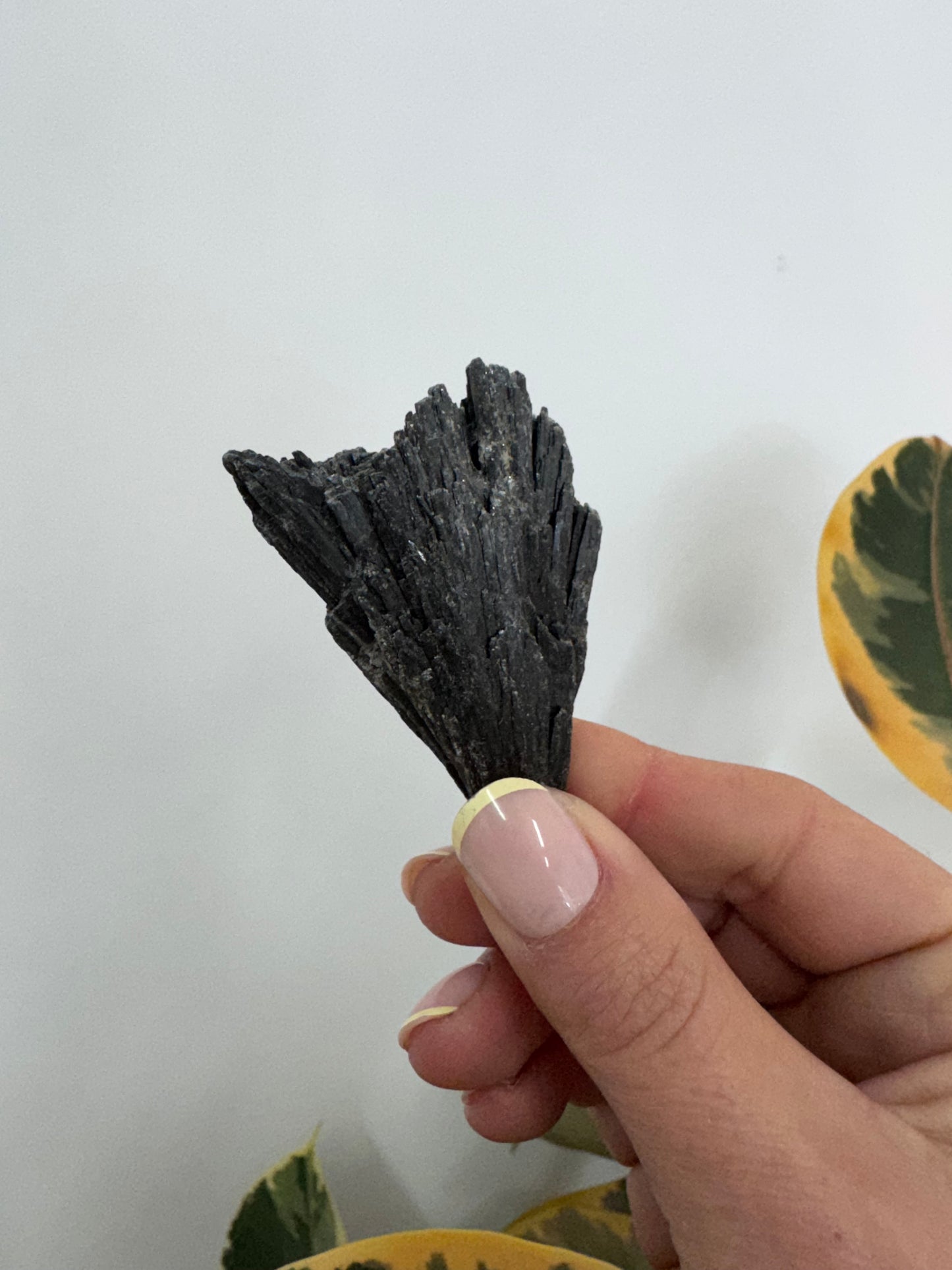 Black Kyanite roughs