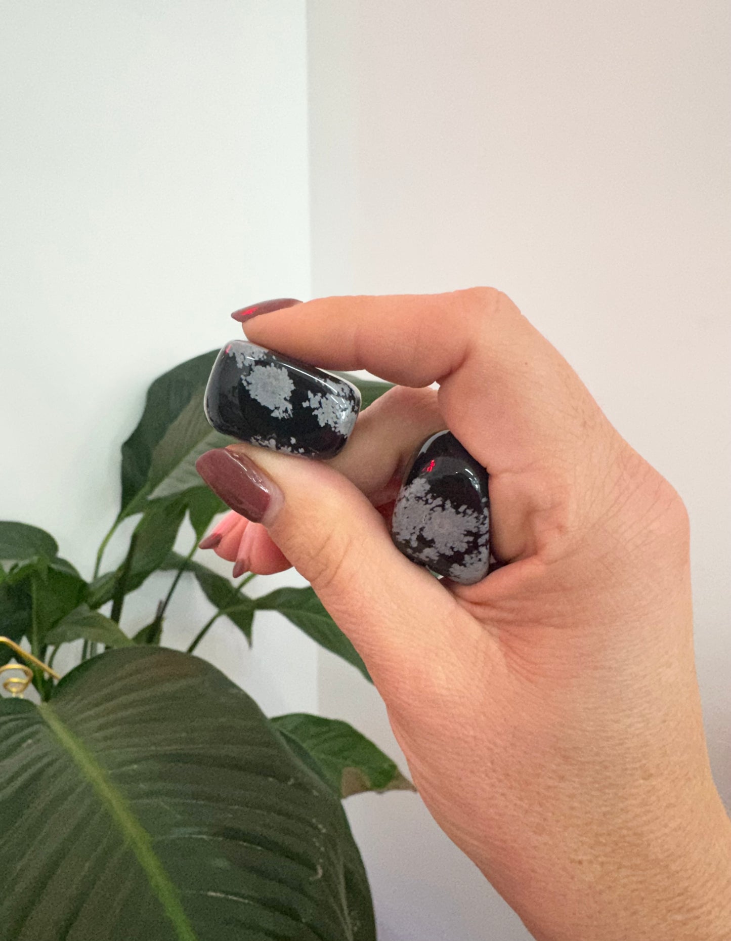 Snowflake Obsidian Towers