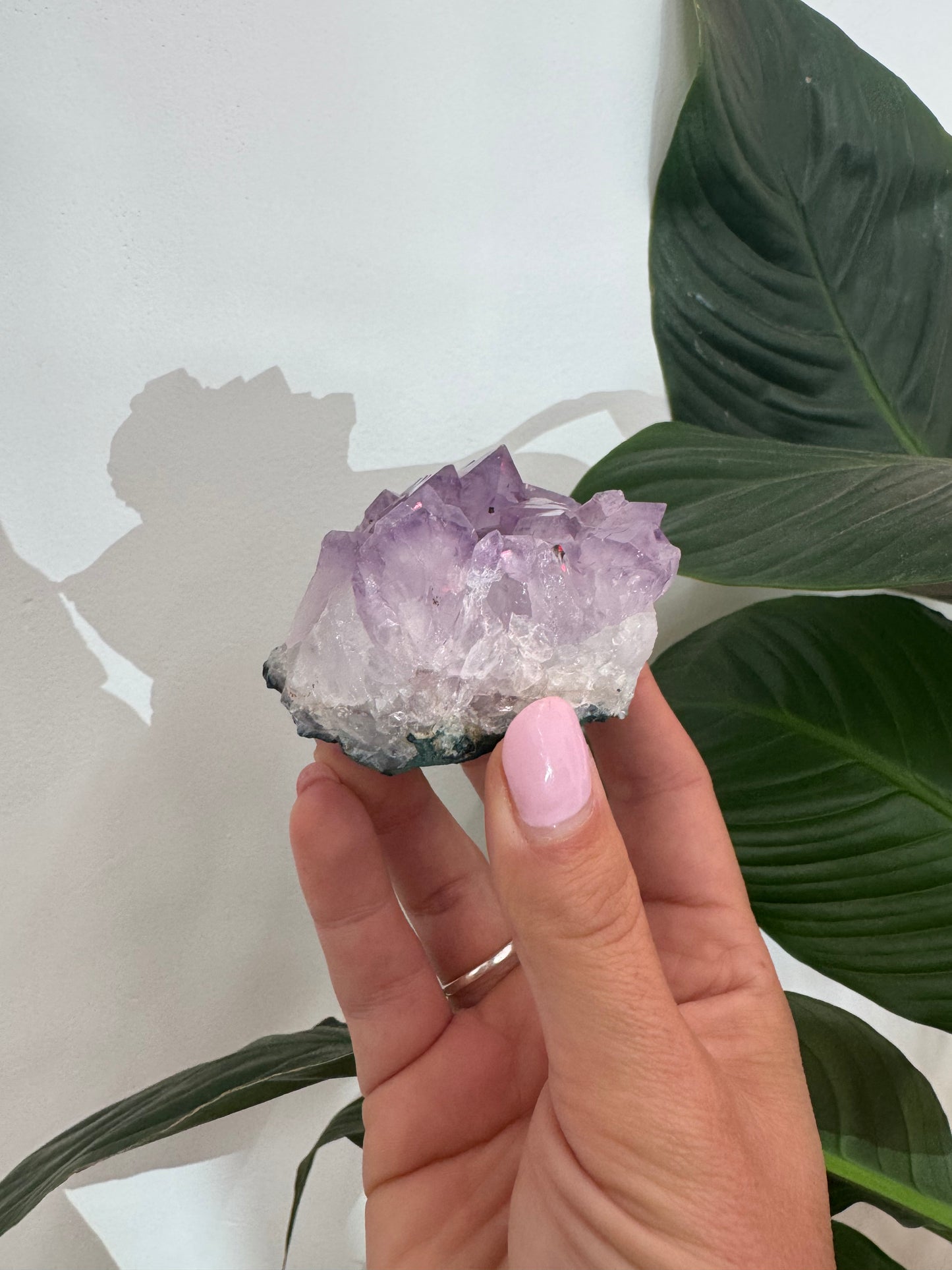 Amethyst Clusters