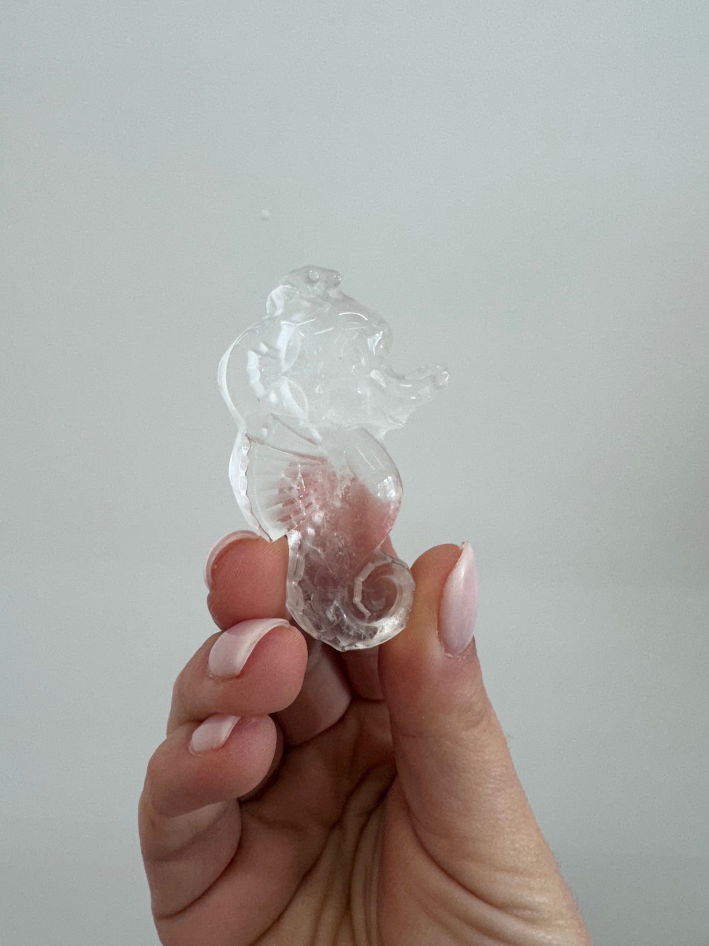 Crystal Seahorses
