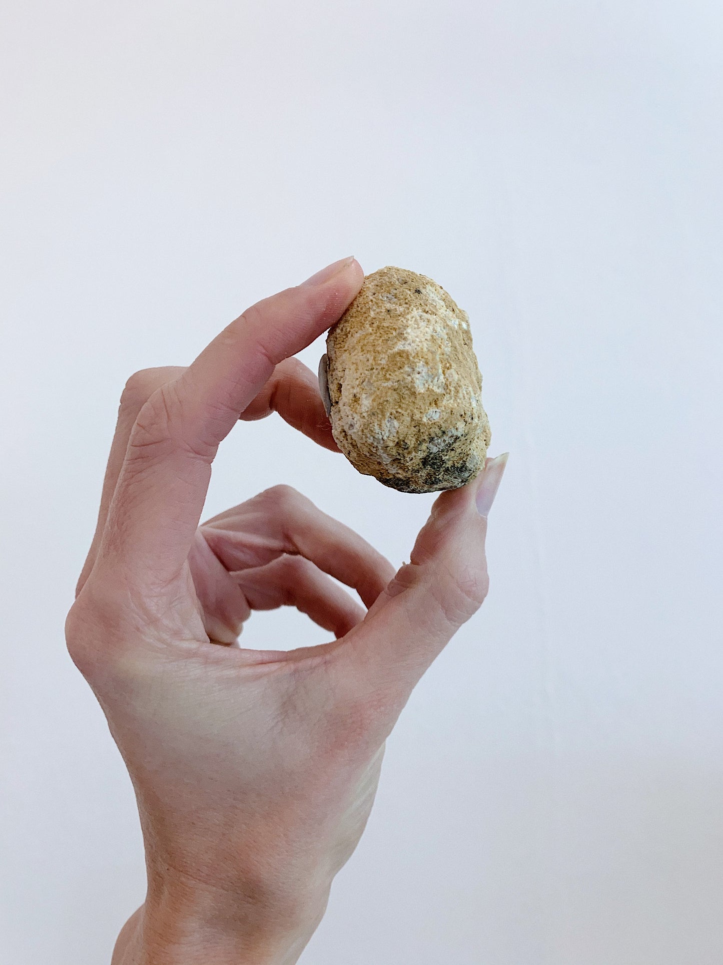 Whole Morrocan Geodes • Small