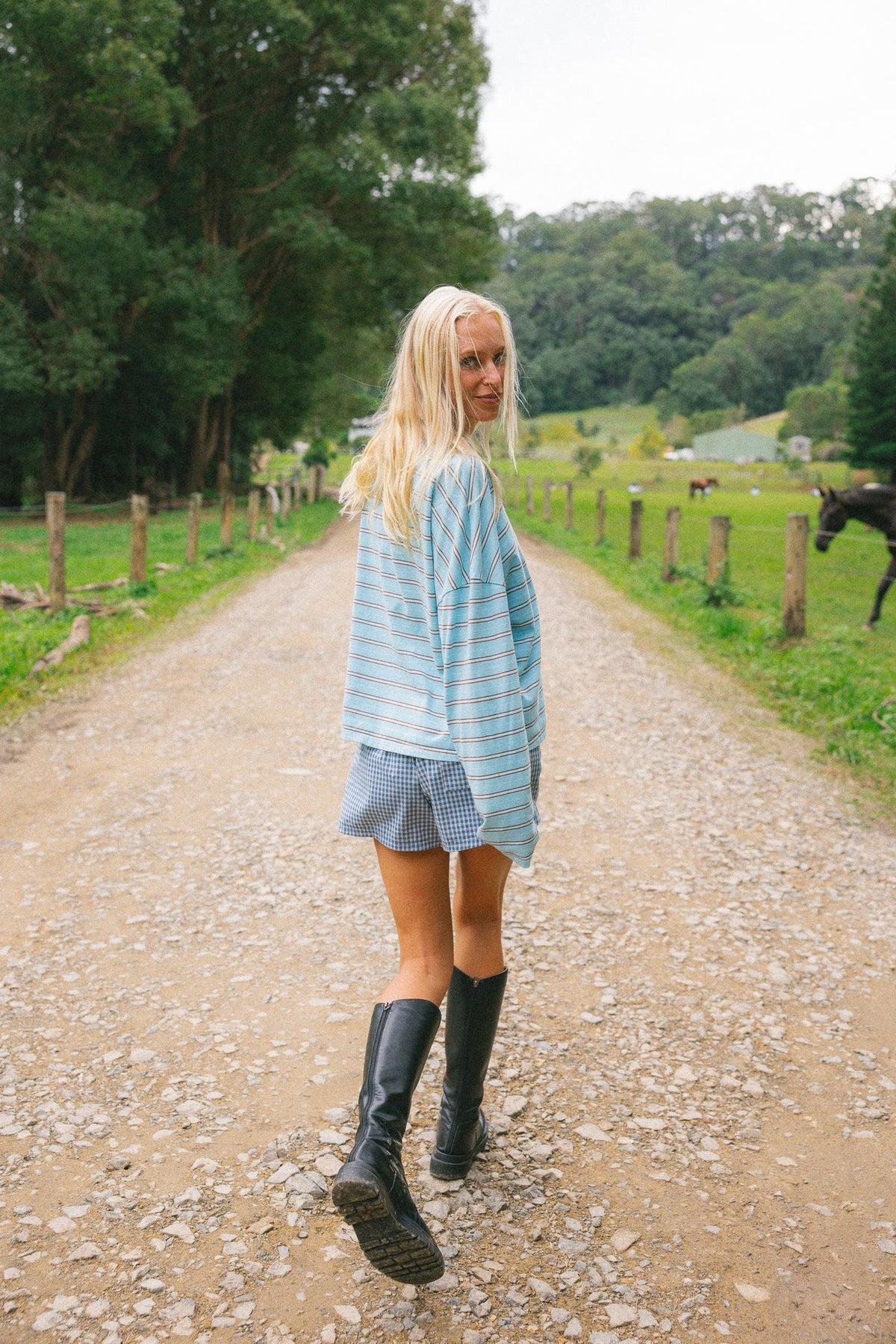 Classic Check Shorts - Cobalt
