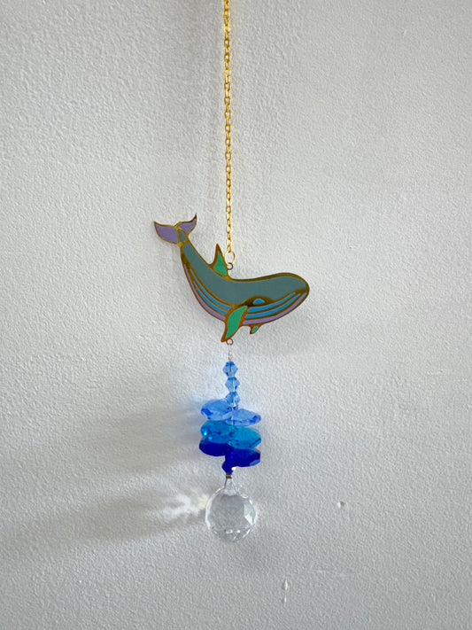 Sea Life Suncatchers