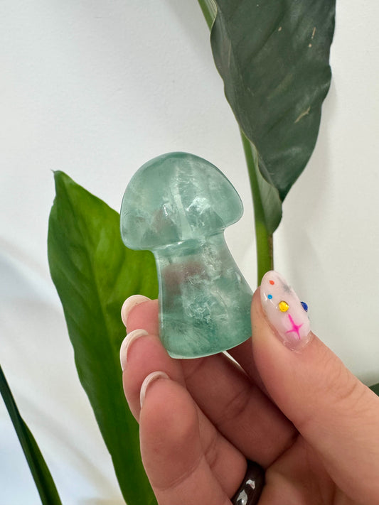 Crystal Mushrooms