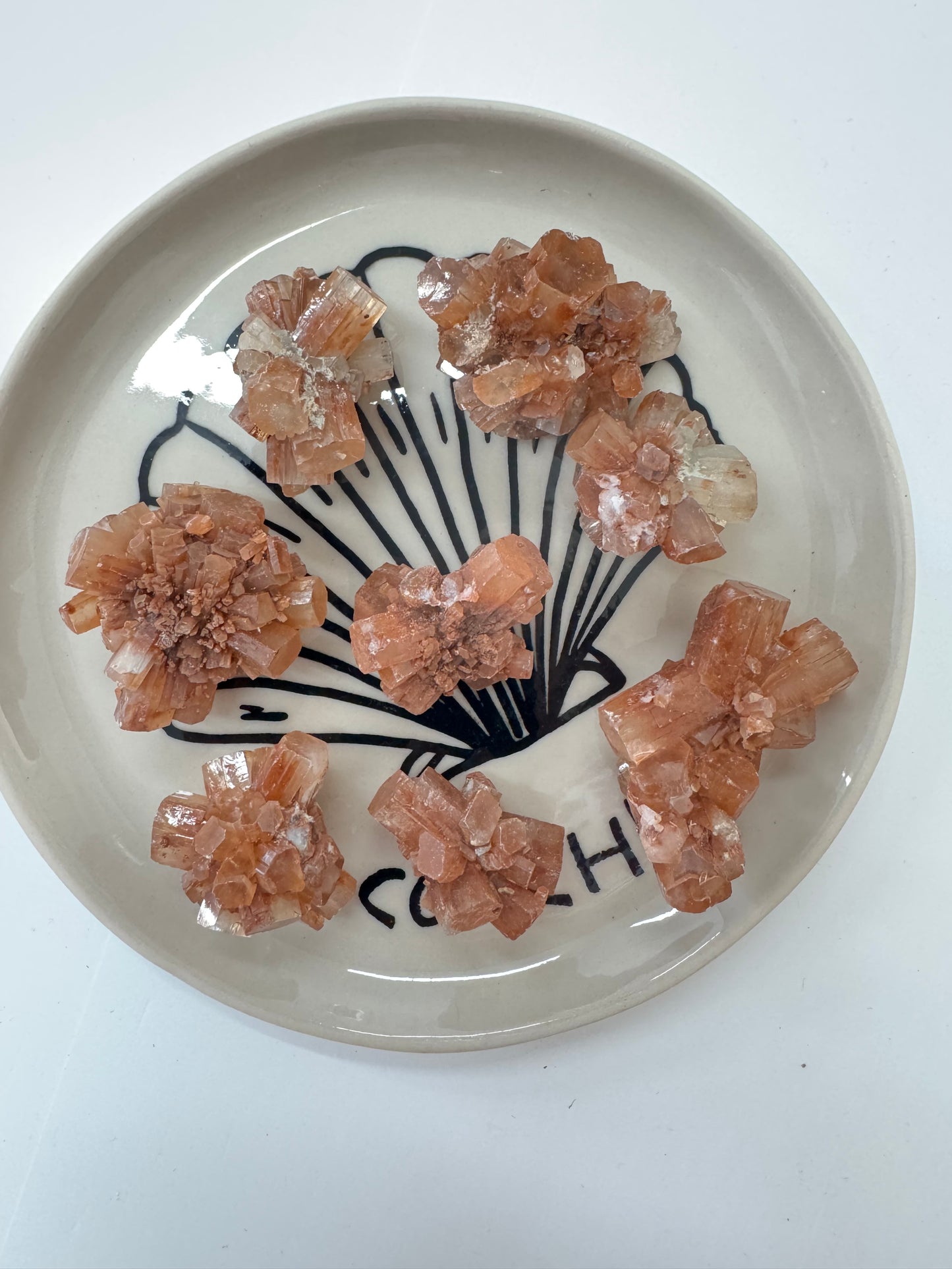 Aragonite Sputnik Clusters