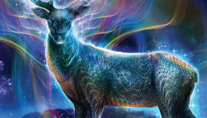SACRED SPIRIT ORACLE