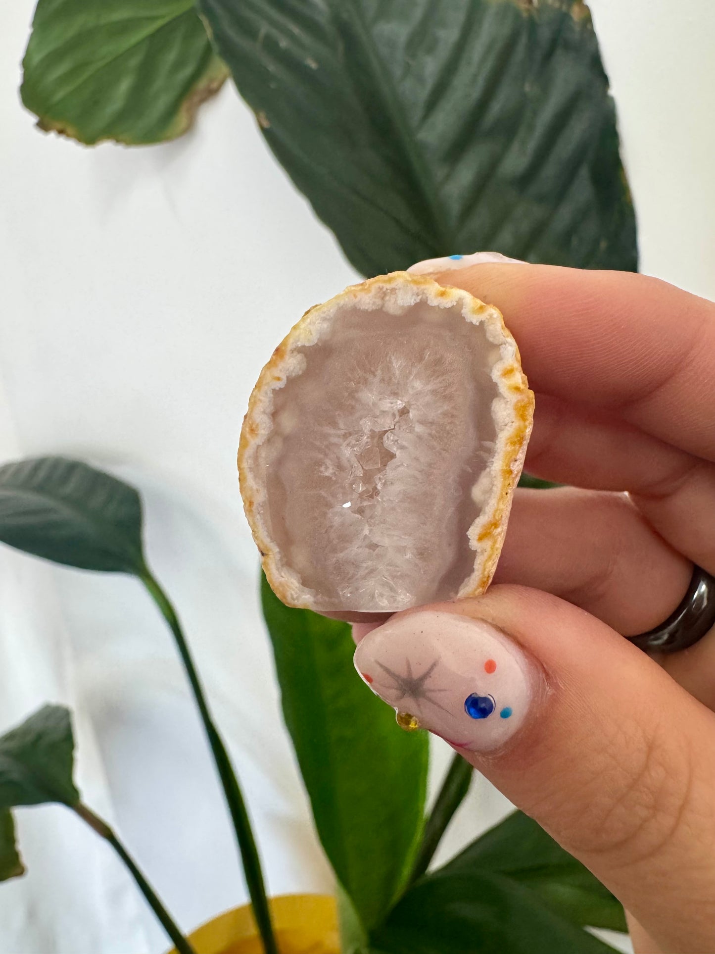 Agate Druzy Geodes