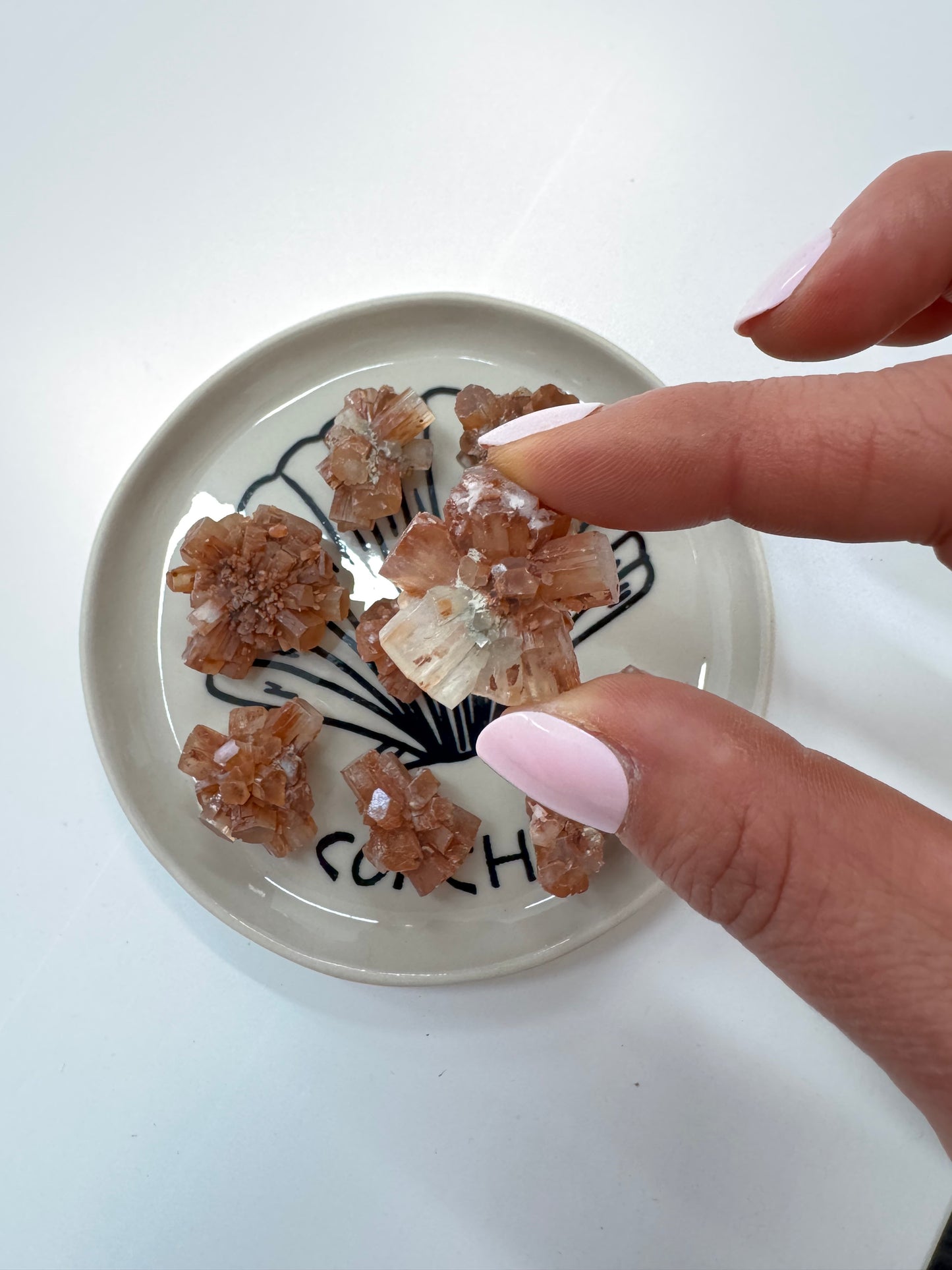 Aragonite Sputnik Clusters