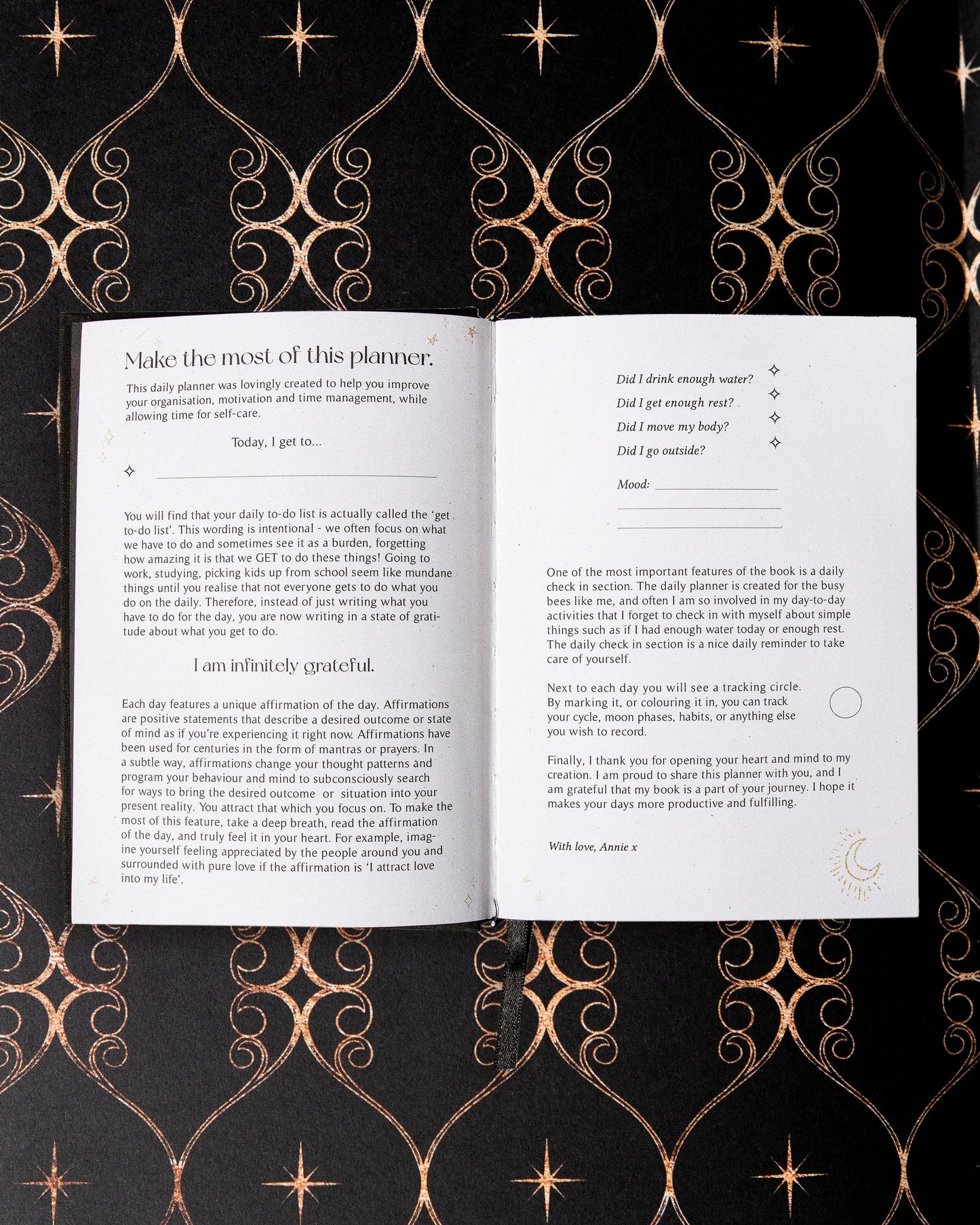 Dreamy Moons 2025 Daily Planner