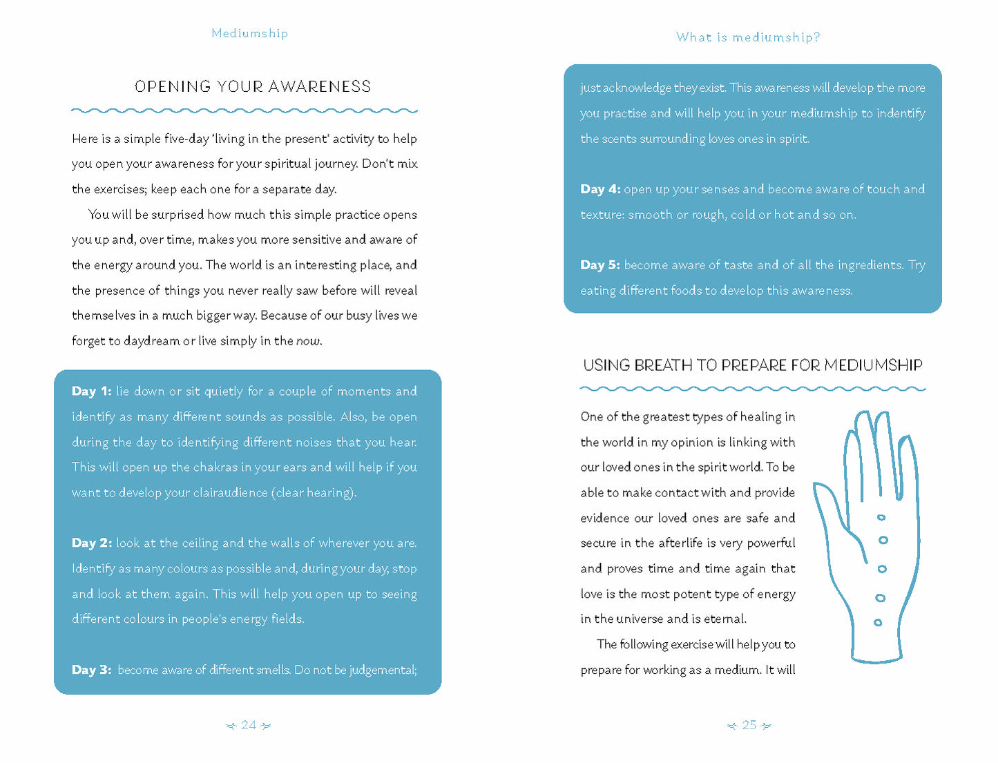 MEDIUMSHIP - YOUR GUIDE TO COMMUNICATING AND HEALING THROUGH THE SPIRIT WORLD