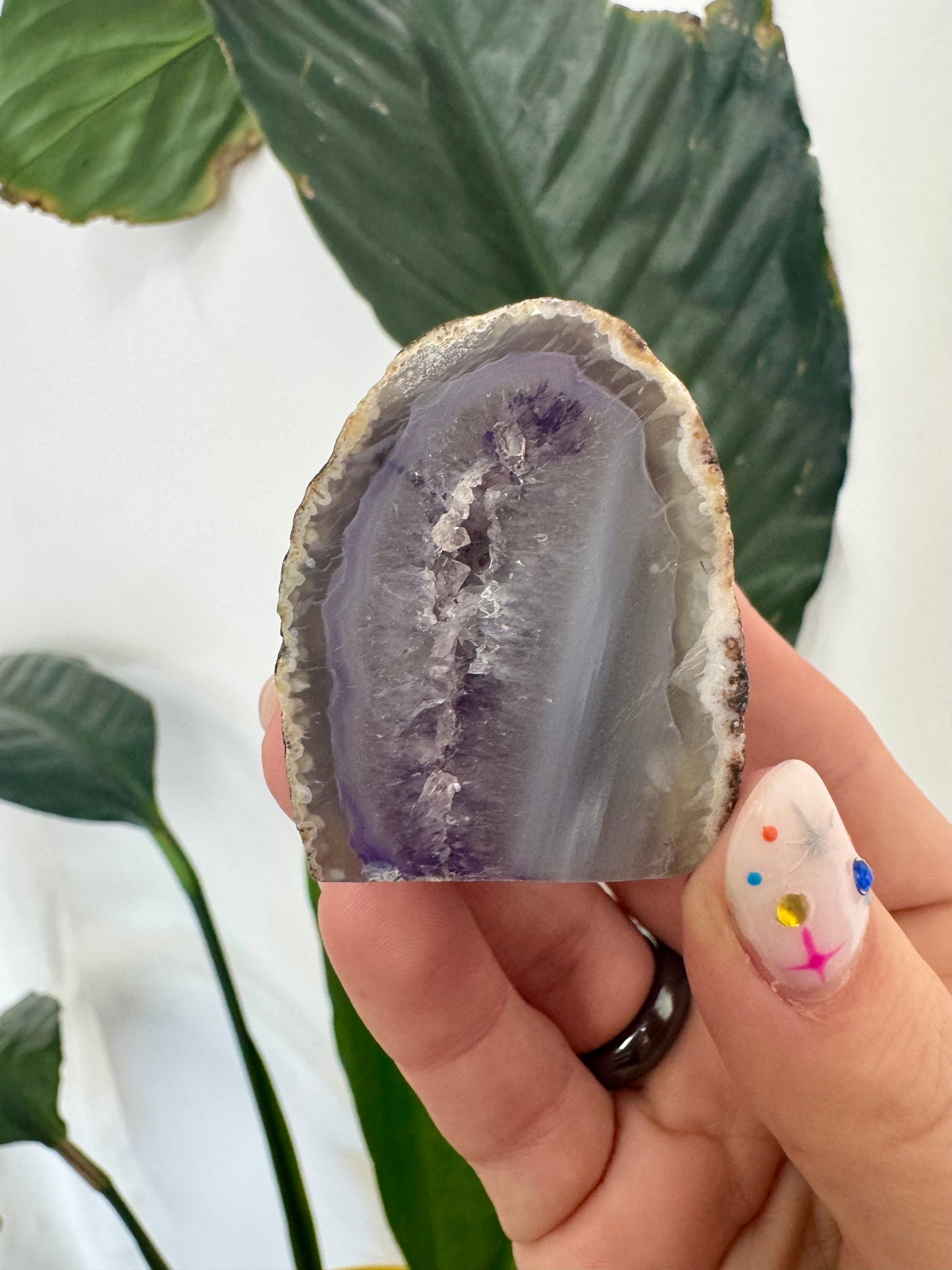 Agate Druzy Geodes