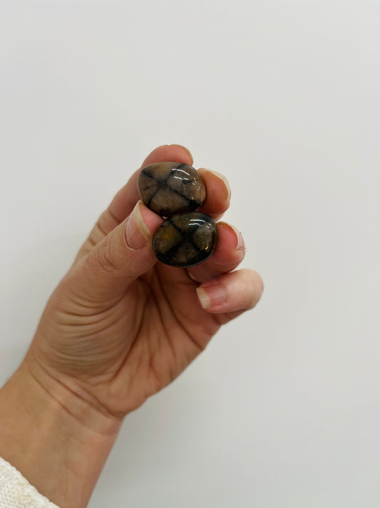 Chiastolite tumbles