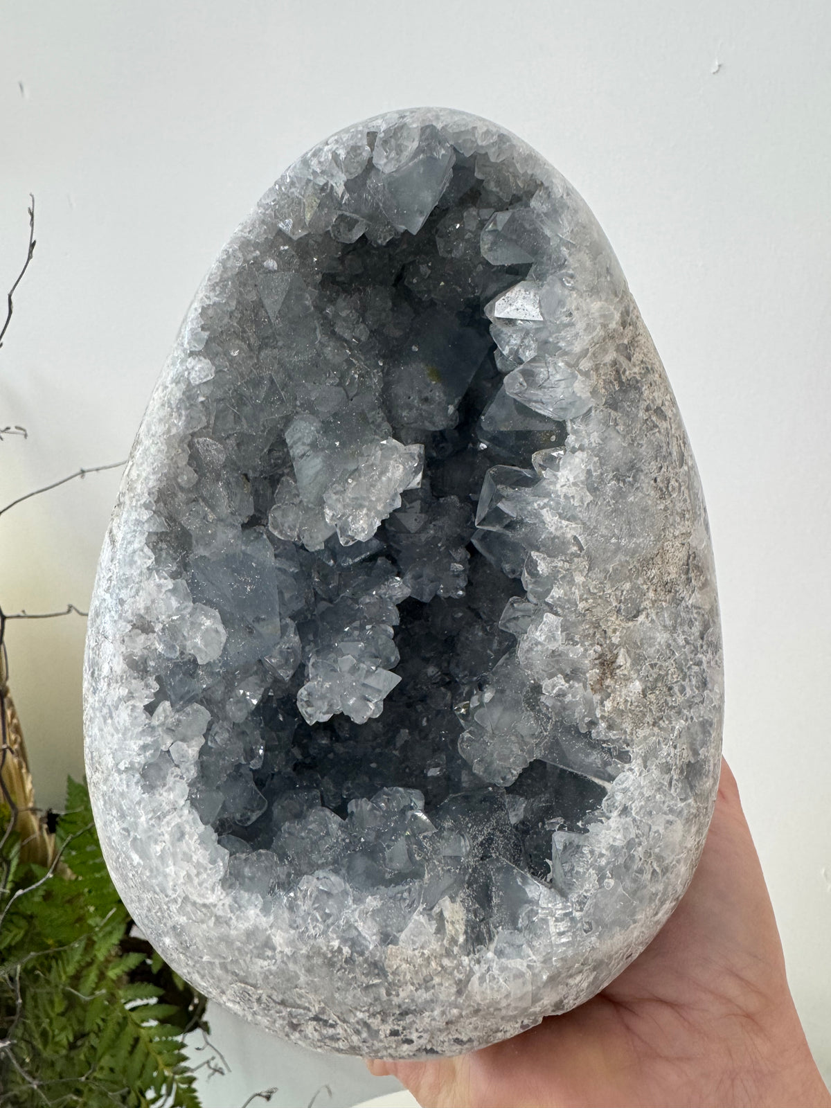 Celestite Clusters