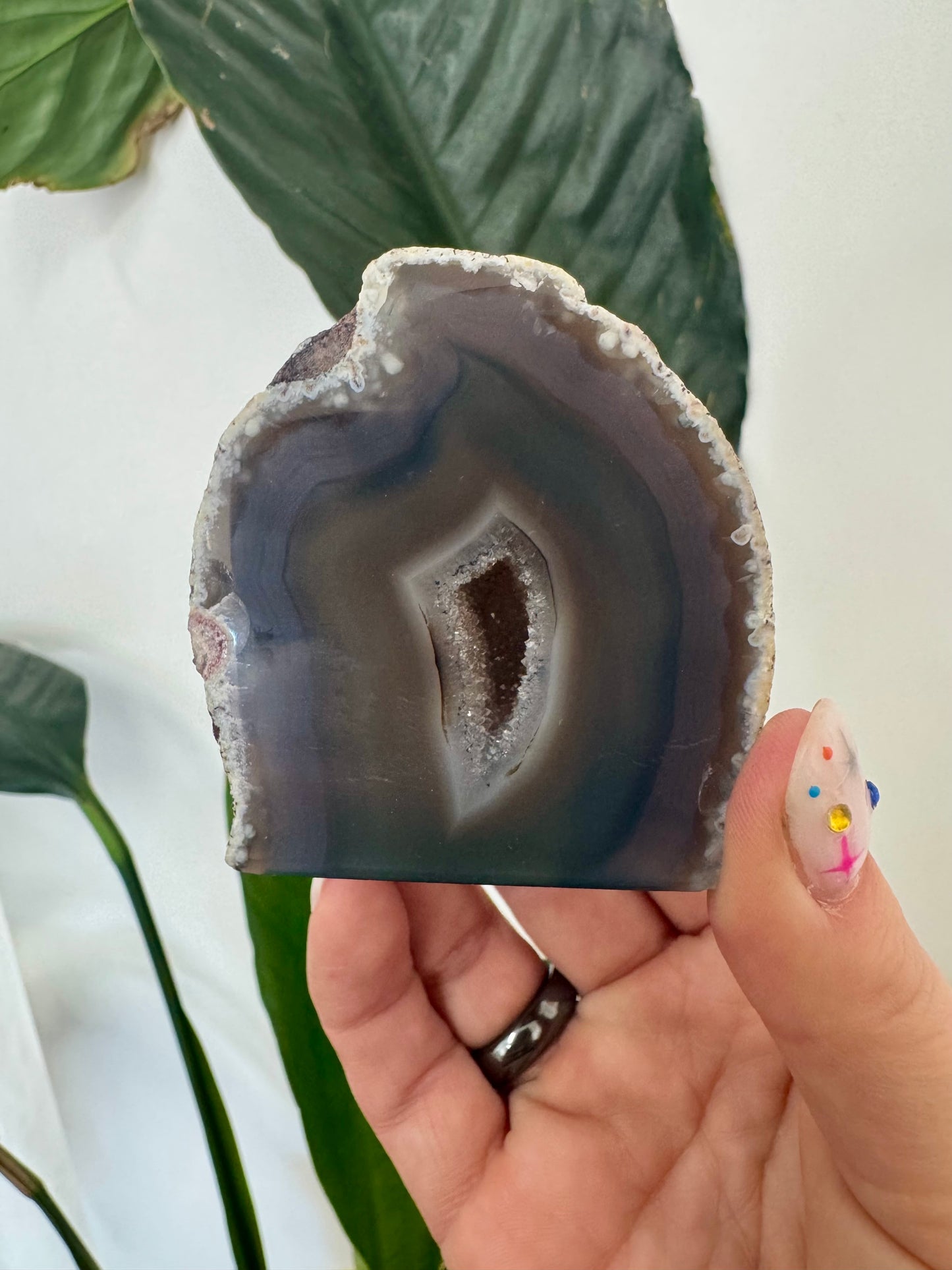 Agate Druzy Geodes