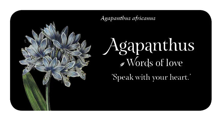 The Language of Flowers