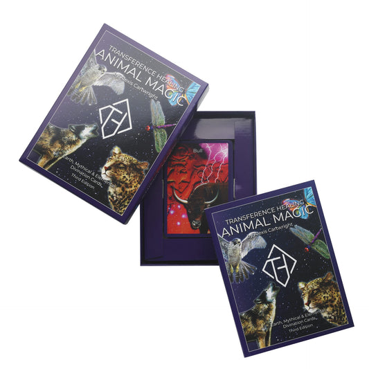 Animal Magic Divination Cards