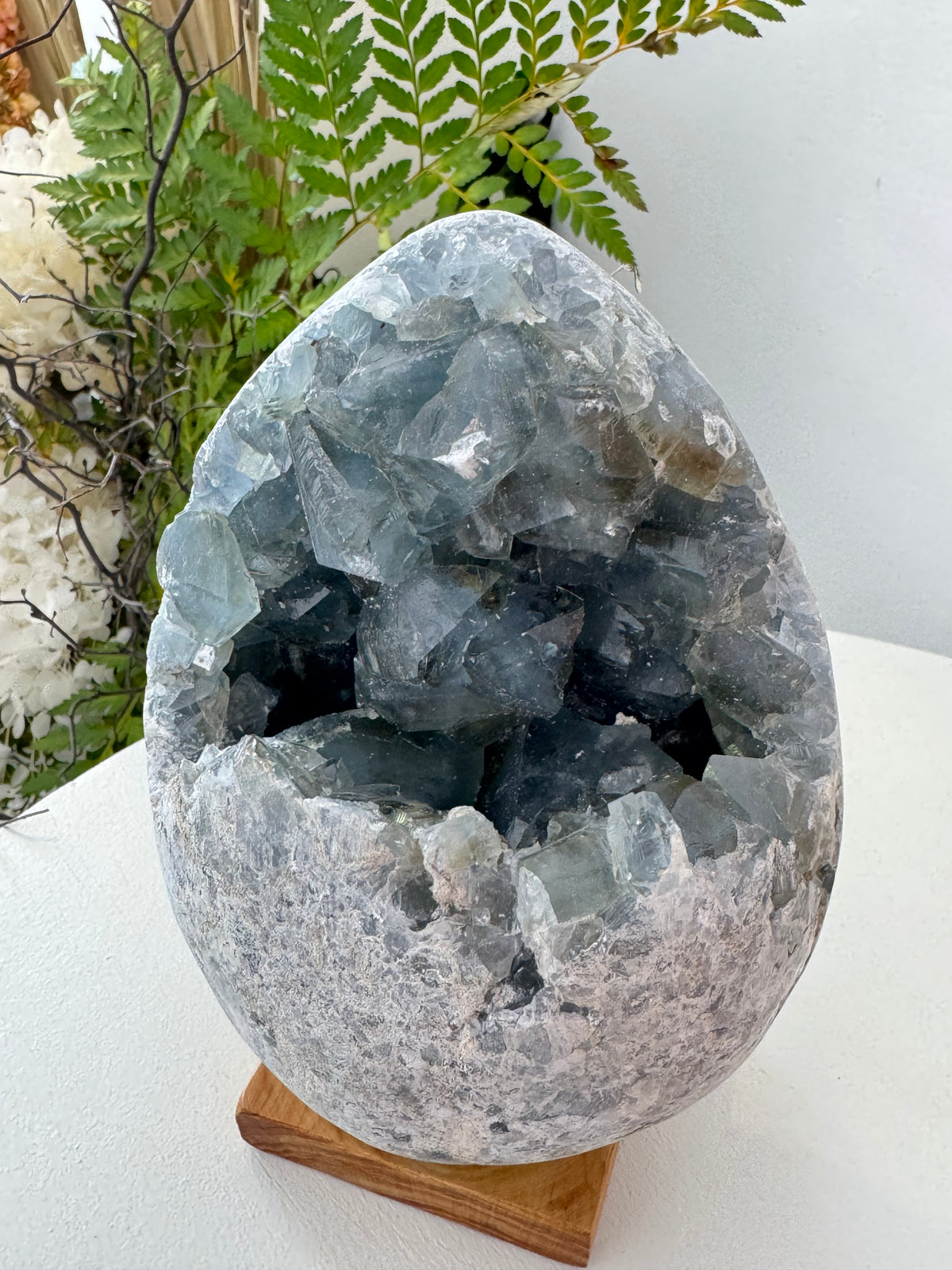 Celestite Clusters