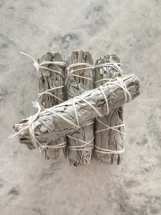 Sage Stick - Extra Small
