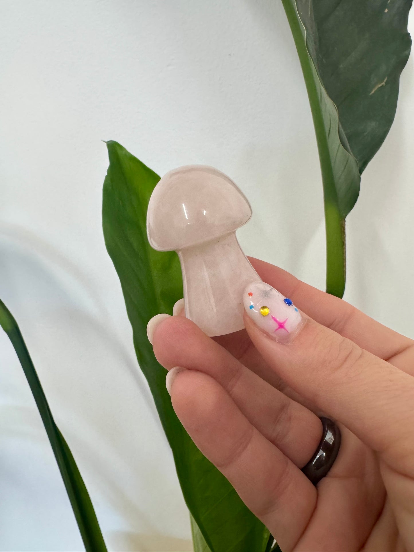 Crystal Mushrooms