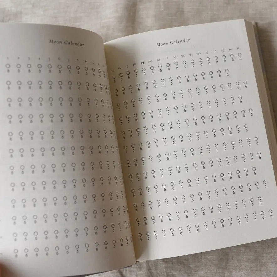 A year of coming home journal