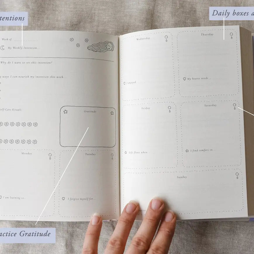 A year of coming home journal