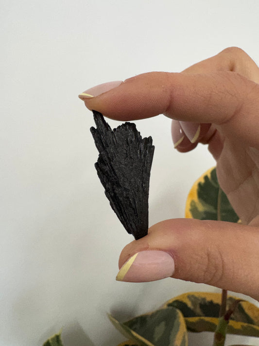 Black Kyanite roughs