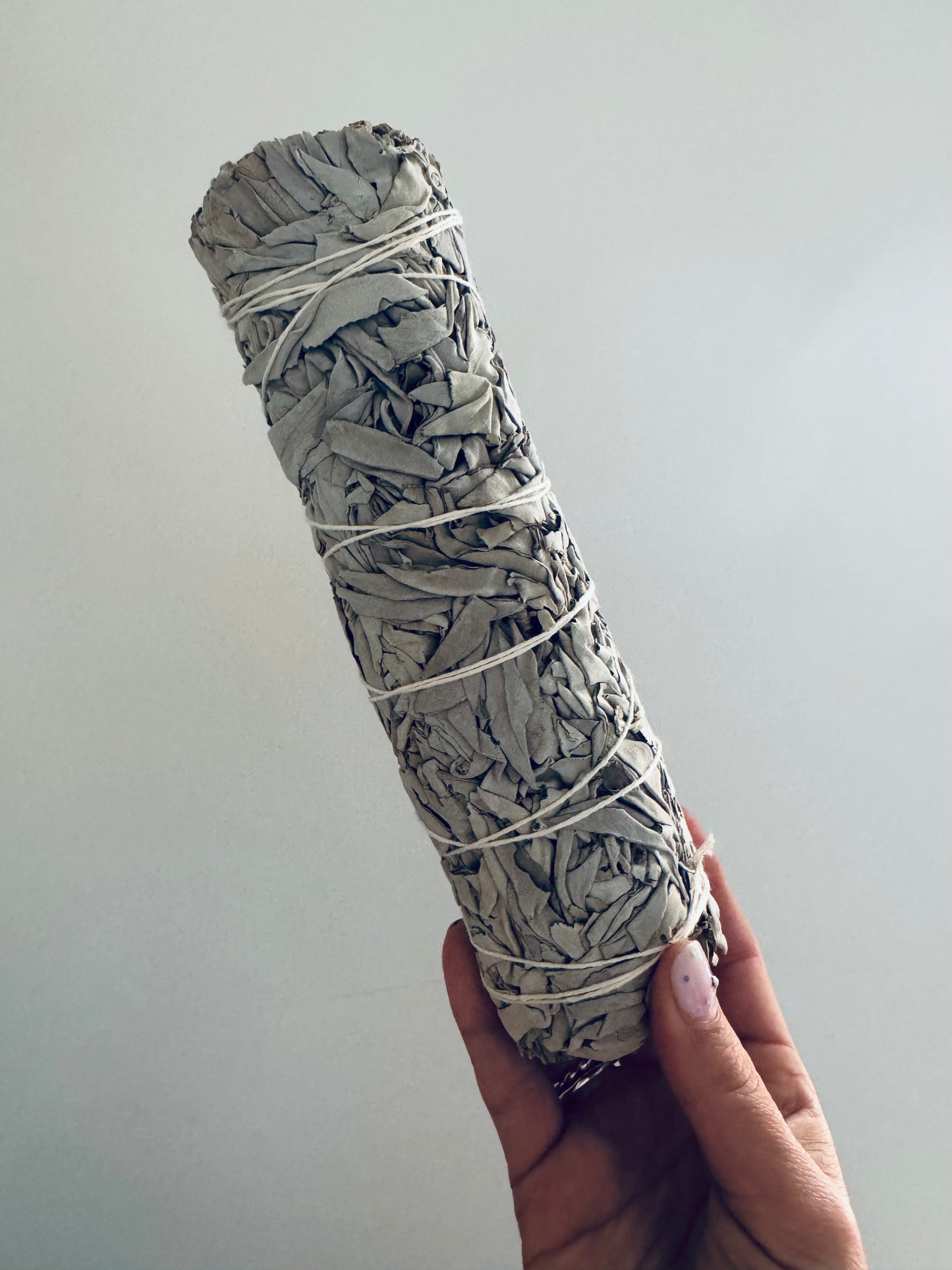 Sage Stick - Extra Large