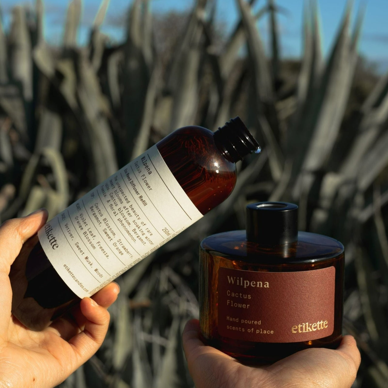 Etikette - Cactus Flower