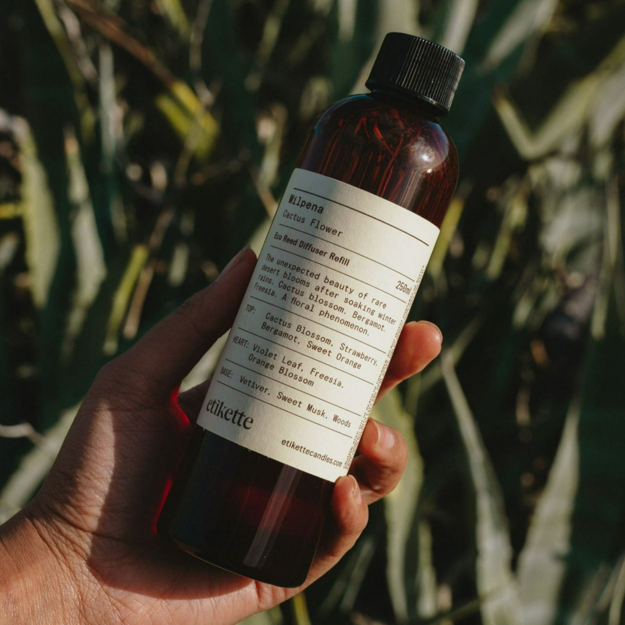 Etikette - Cactus Flower