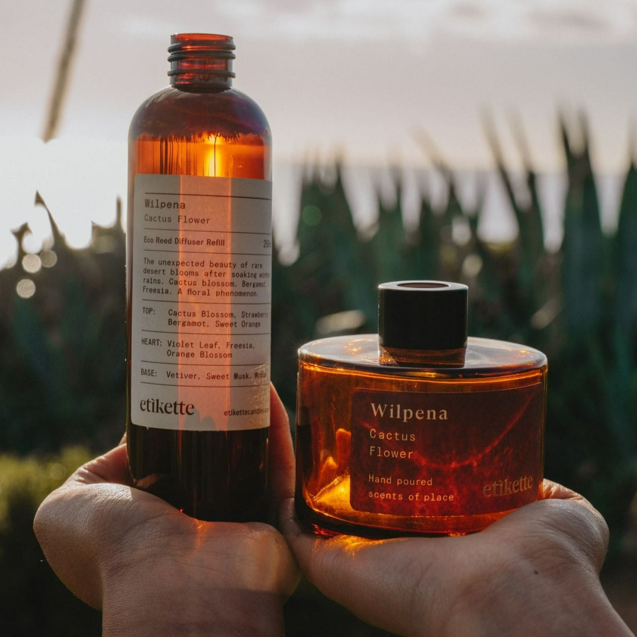 Etikette - Cactus Flower