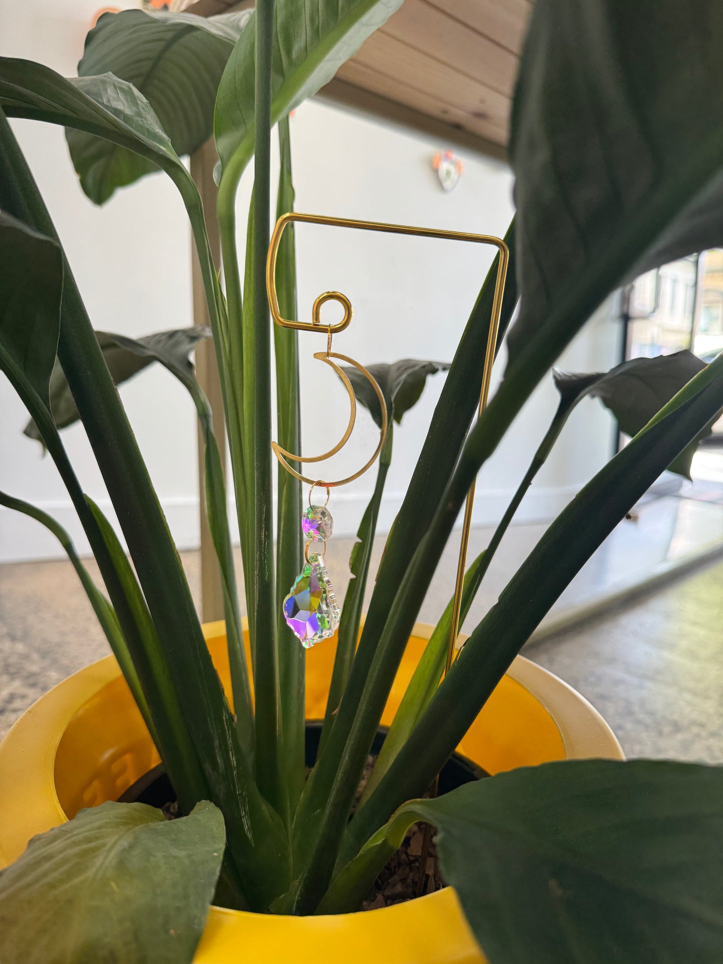 Plant stake sun catcher