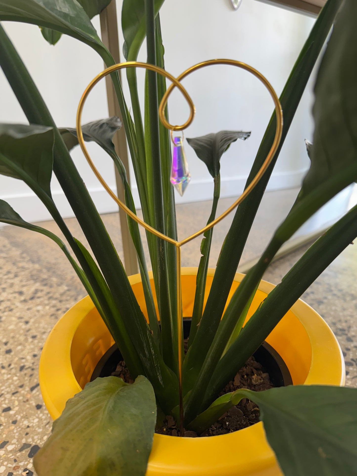 Plant stake sun catcher