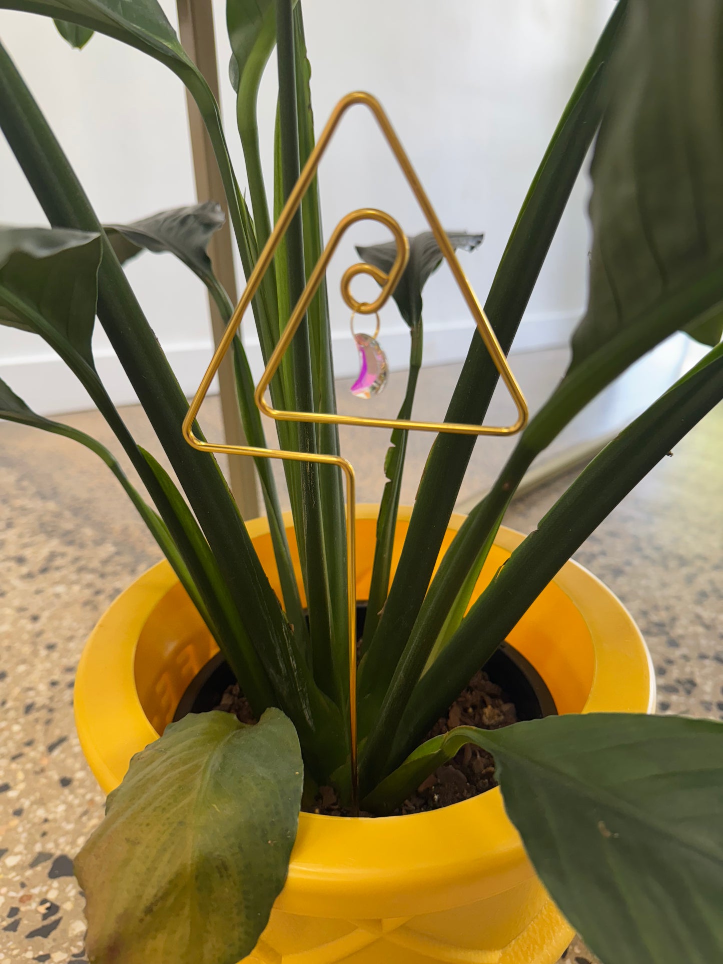 Plant stake sun catcher