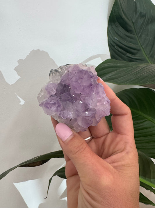 Amethyst Clusters