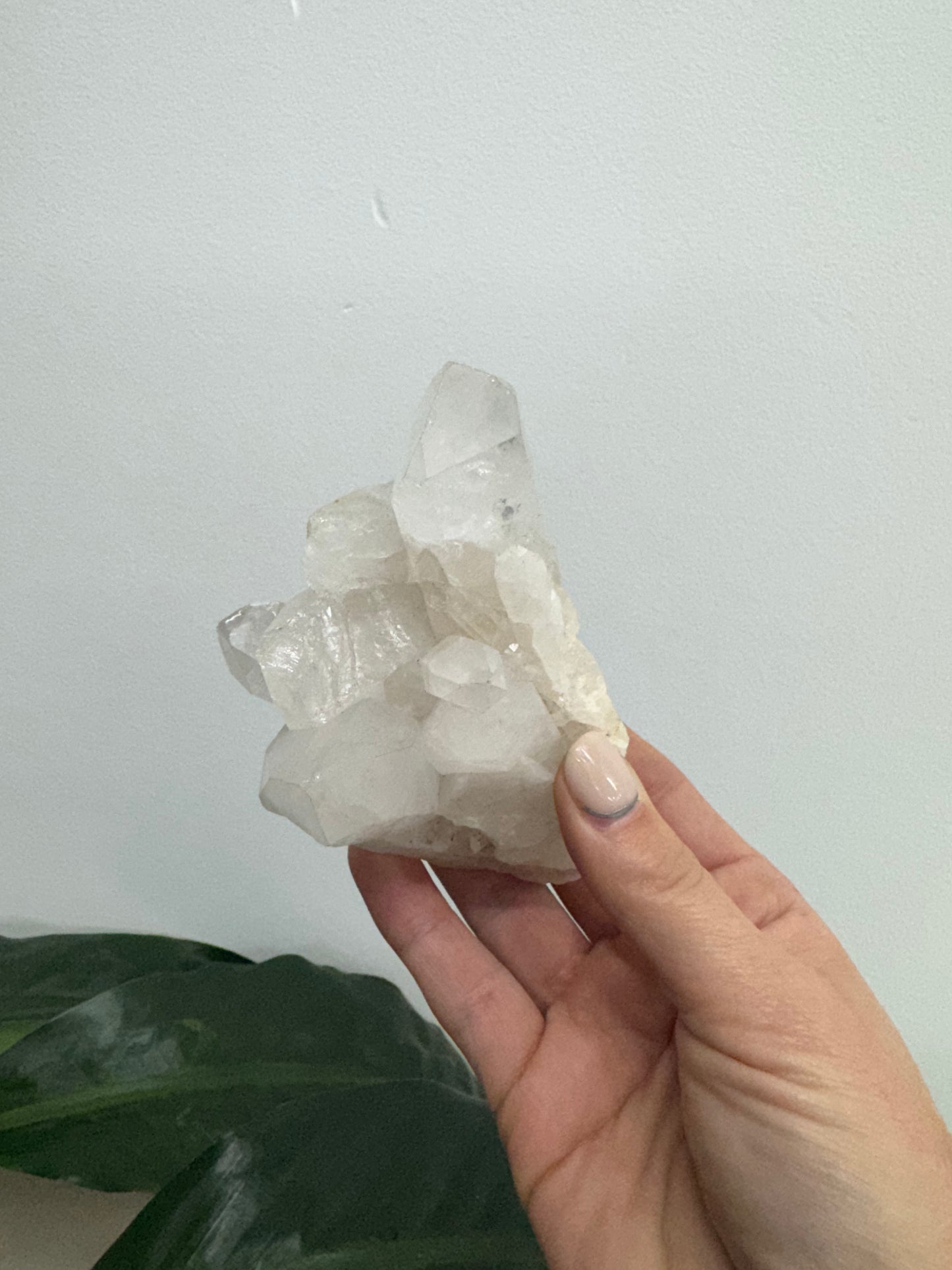 Clear Quartz cluster