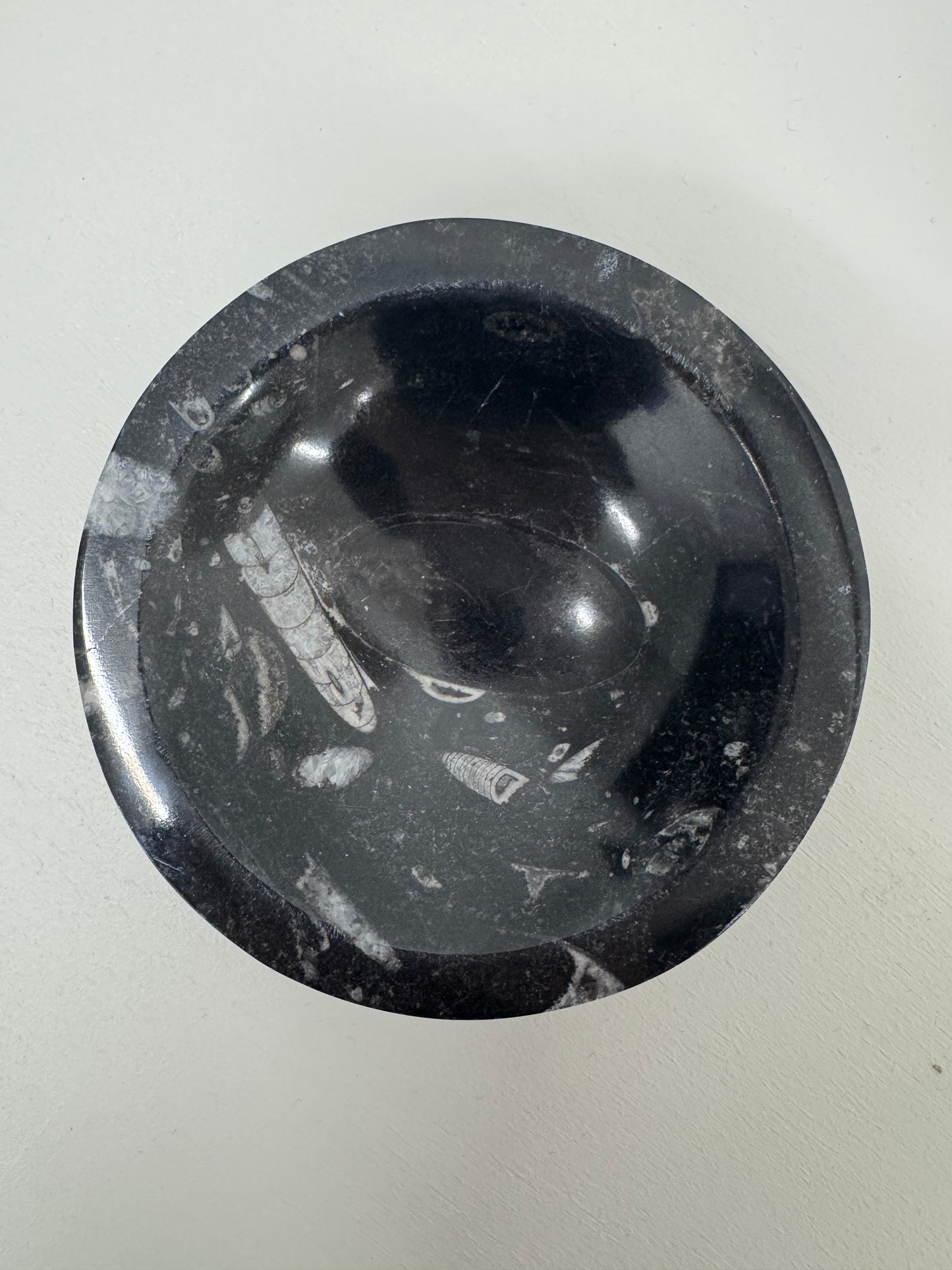 Orthoceras Bowl