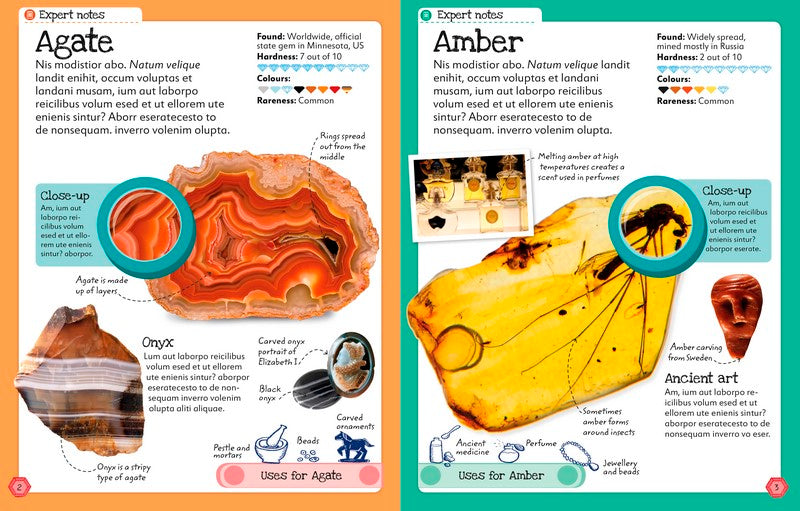 My book of Rocks and Minerals