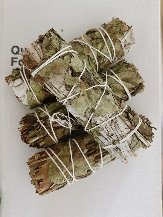 White Sage & Peppermint Smudge Stick