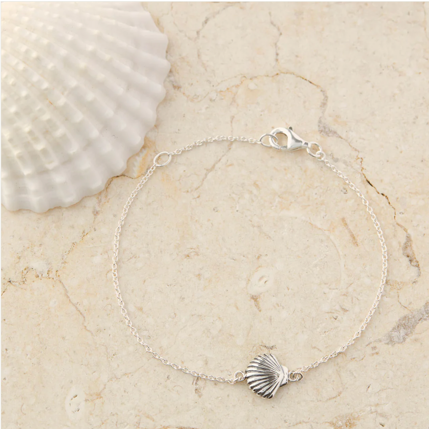 Seashell Bracelet