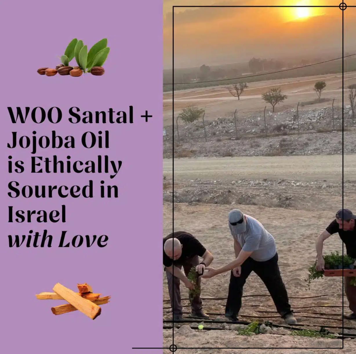 WOO Santal + Jojoba Oil – Nourishing Body & Hair Oil with Aromatic Santal