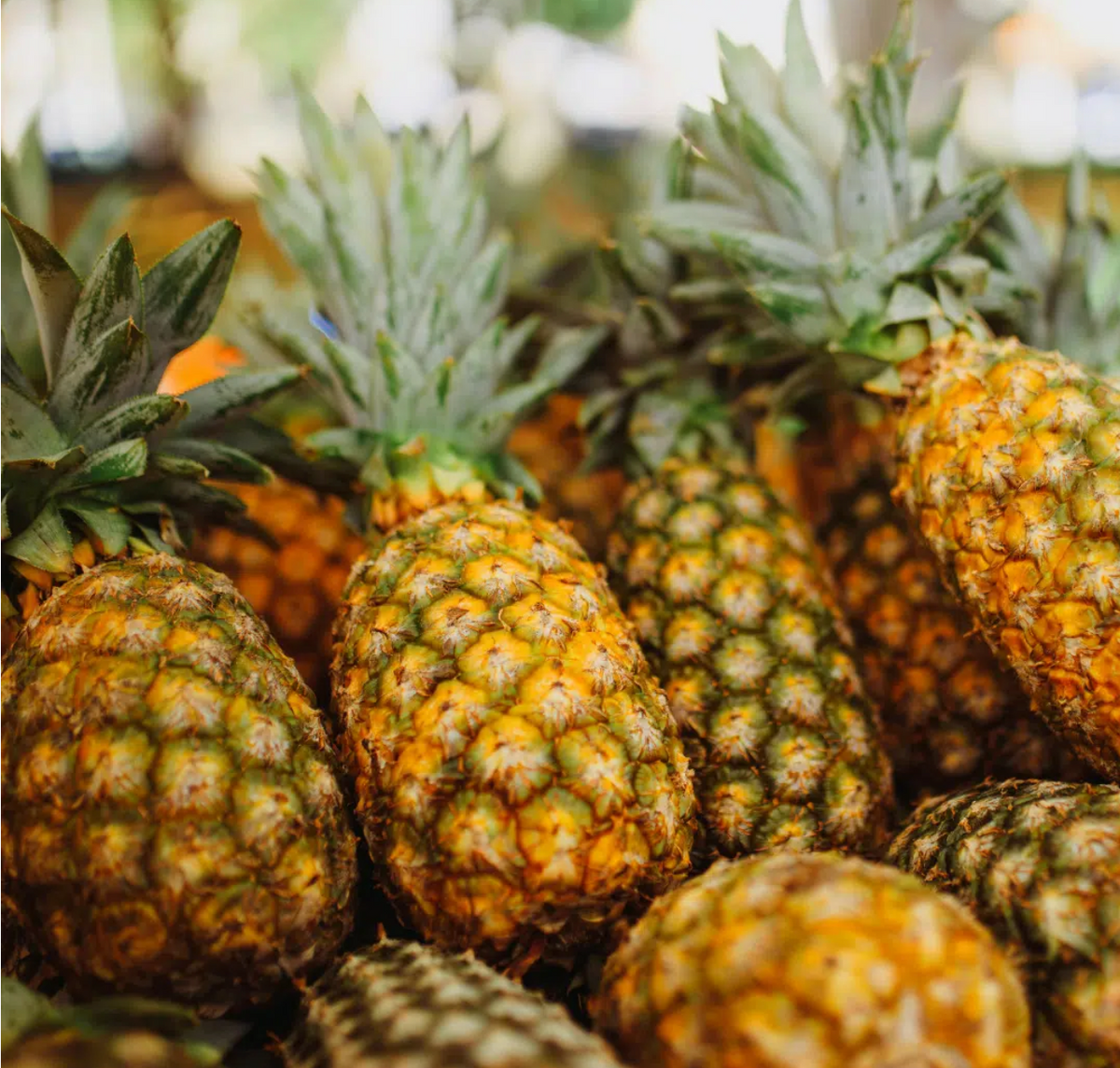 WOO Pineapple + Coconut Oil – Nourishing, Strengthening, & Shine-Enhancing