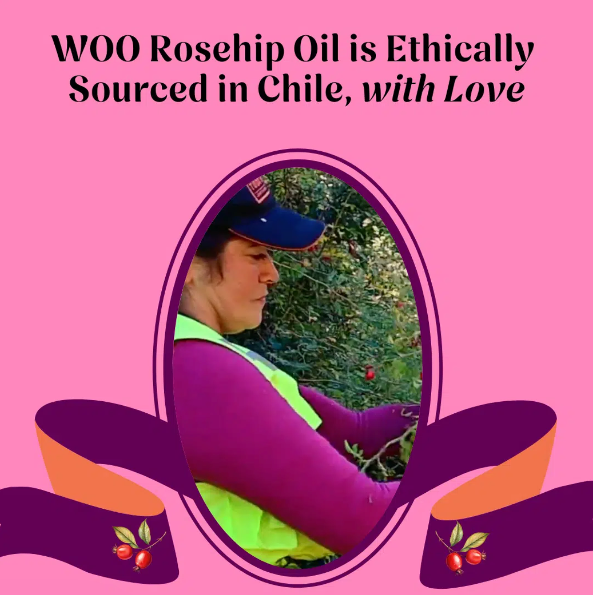 WOO Rosehip Oil – Hydrating, Anti-Aging, & Scar Reducing