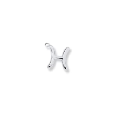 By Barny - Zodiac Sign Charms - SILVER