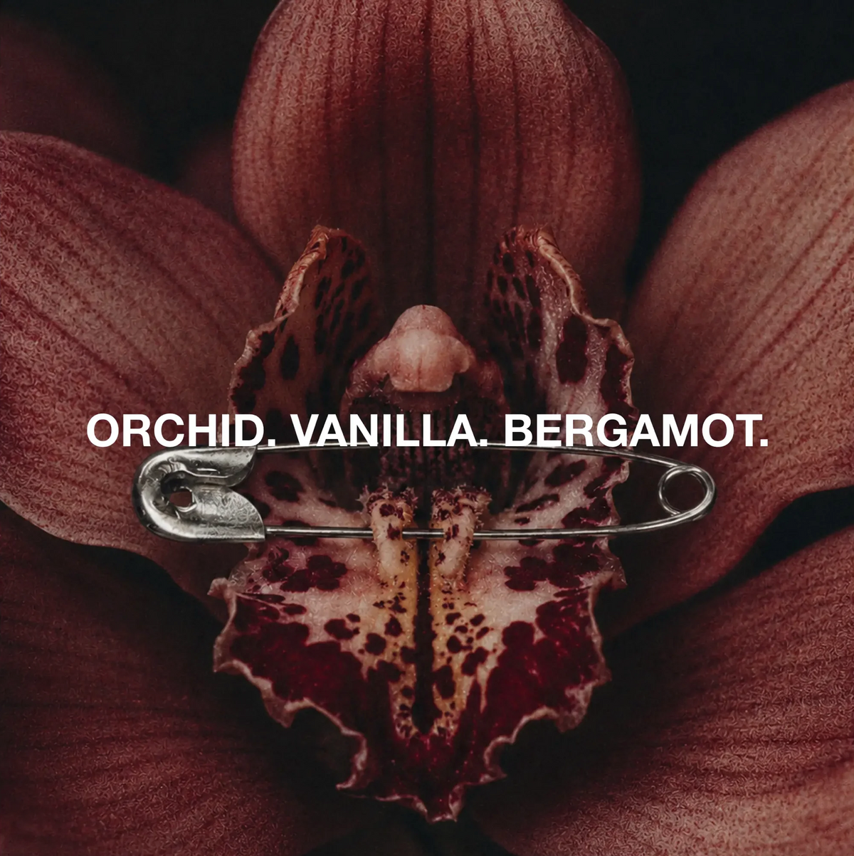 ORB FRAGRANCE OIL