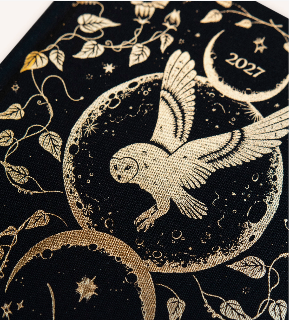 Dreamy Moons - Black 2027 Year of Growth Diary