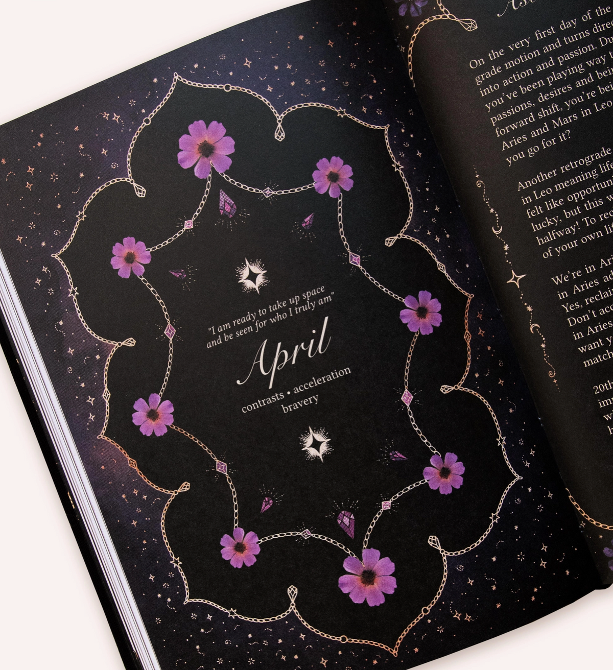Dreamy Moons - Black 2027 Year of Growth Diary
